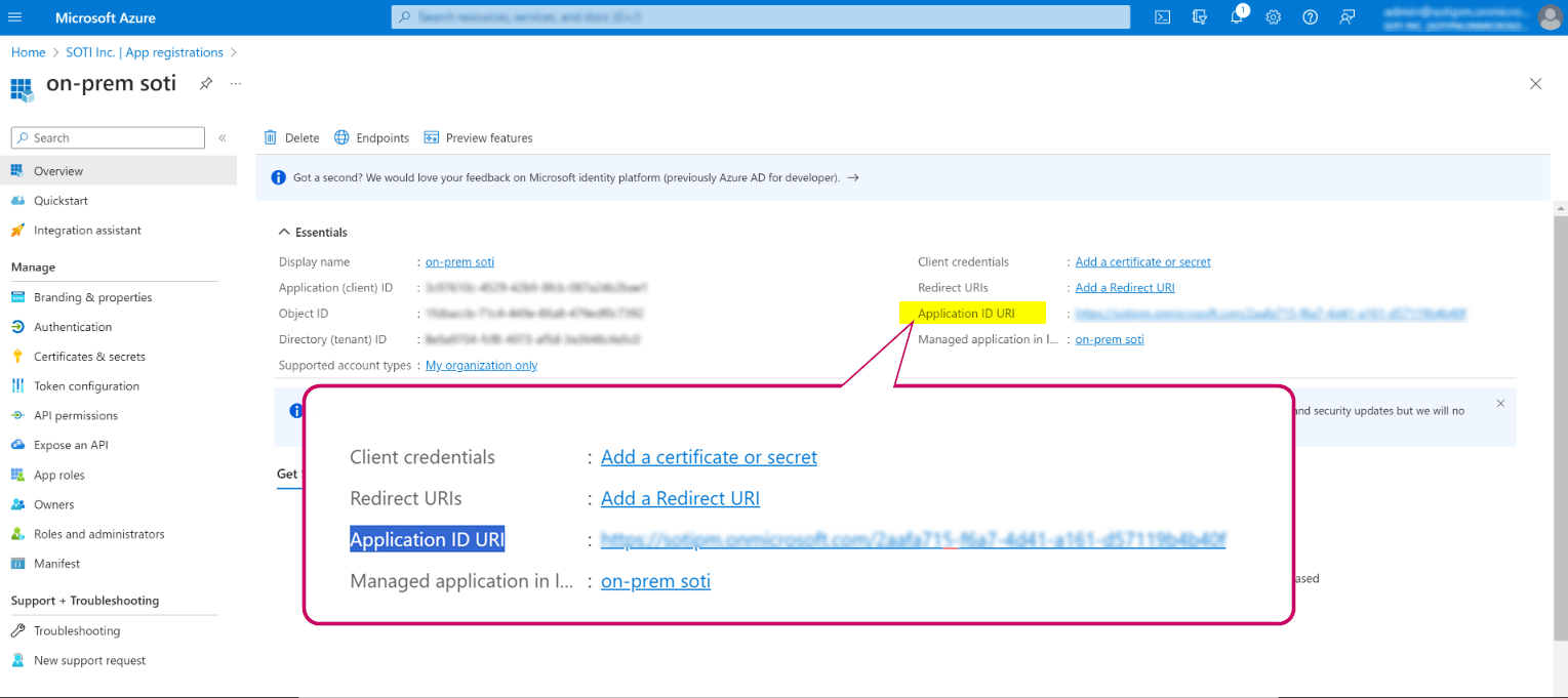 Application ID URI example in Azure AD