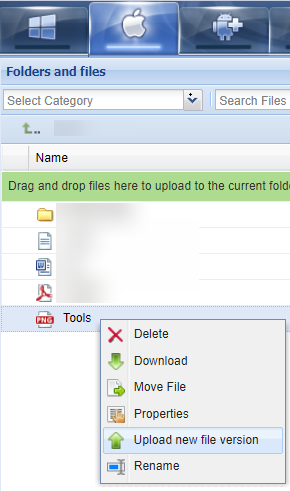 Upload new file version option