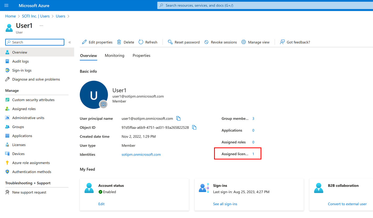 Azure AD Users window with Overview tab selected