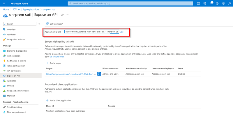 Application ID URI example in Microsoft Entra ID
