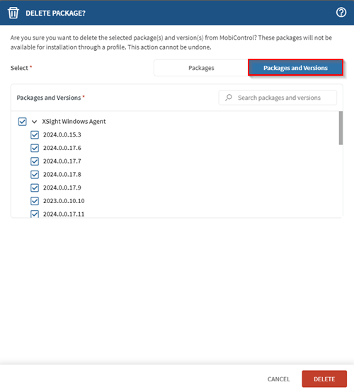 Selecting a specific version of a package for deletion.