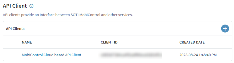 Viewing the API Client section.