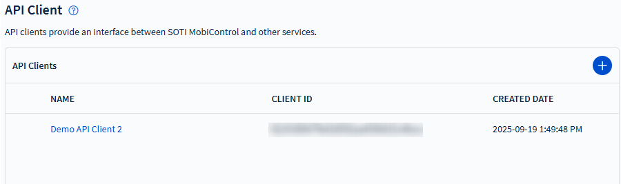 Viewing the API Client section.