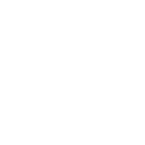 IT Technology Icon