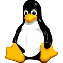 Linux Penguin Logo