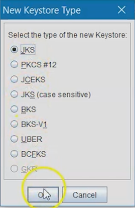 Selecting JKS as the keystore type in Portcele