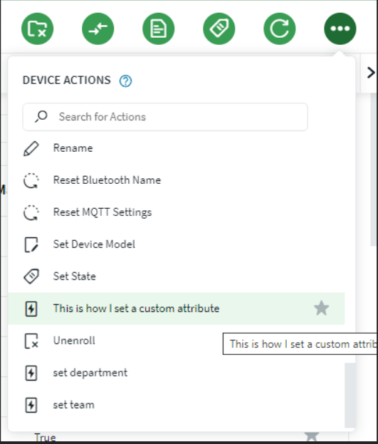 Example of a custom attribute added as an Action to Device Details