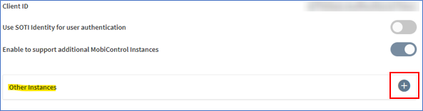 Adding instance details for non-primary SOTI MobiControl